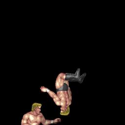Stylin' DDT