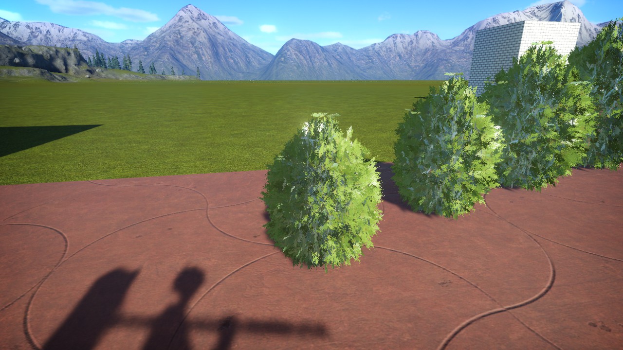 Thuja--1-m-20