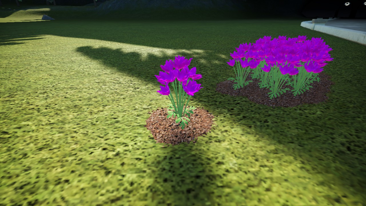tropical-plants-003