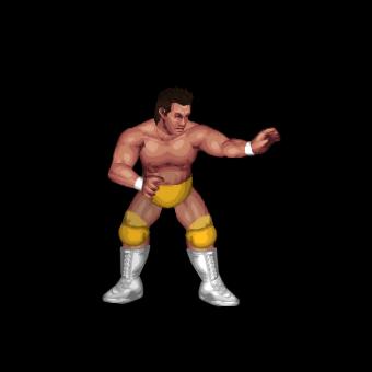 Matt Striker