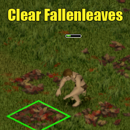 Clear Fallenleaves