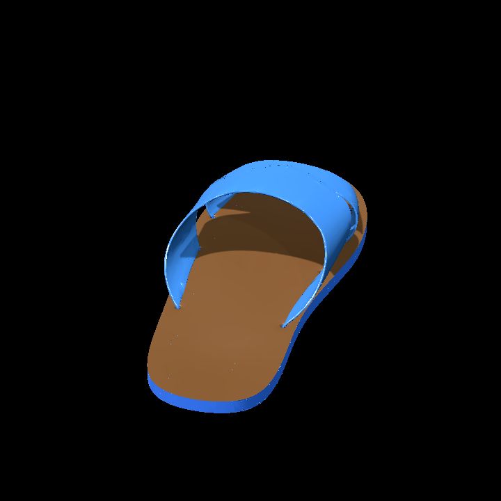 Slipper or sandal left