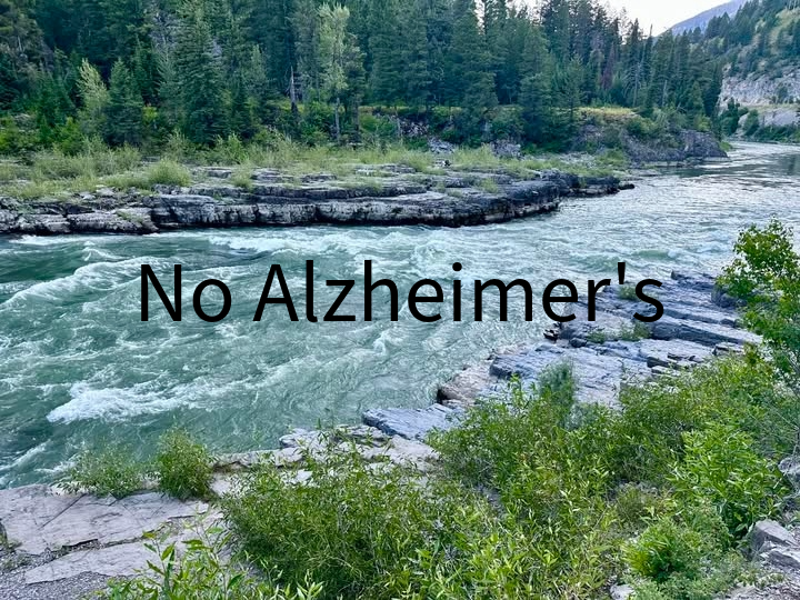 No Alzheimer's