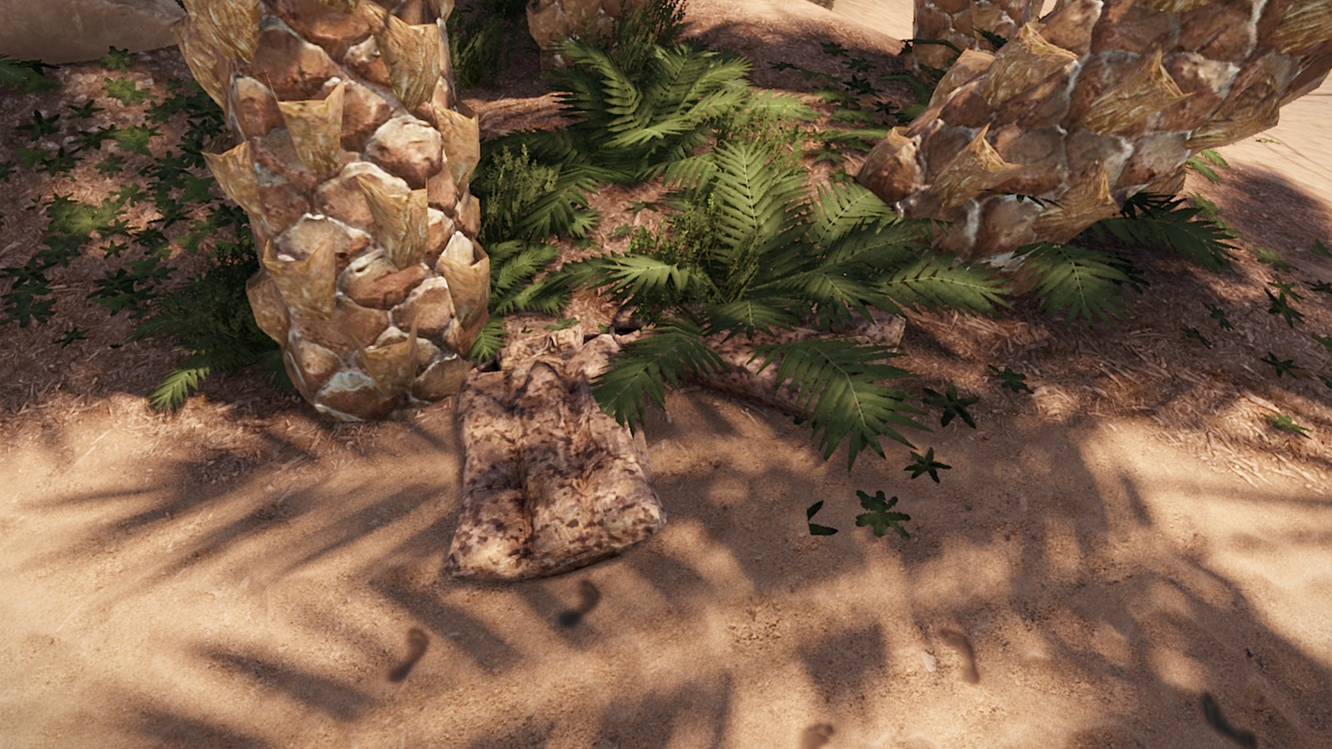 Desert Scout