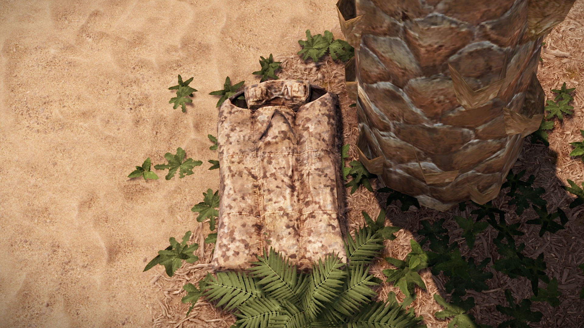 Desert Scout