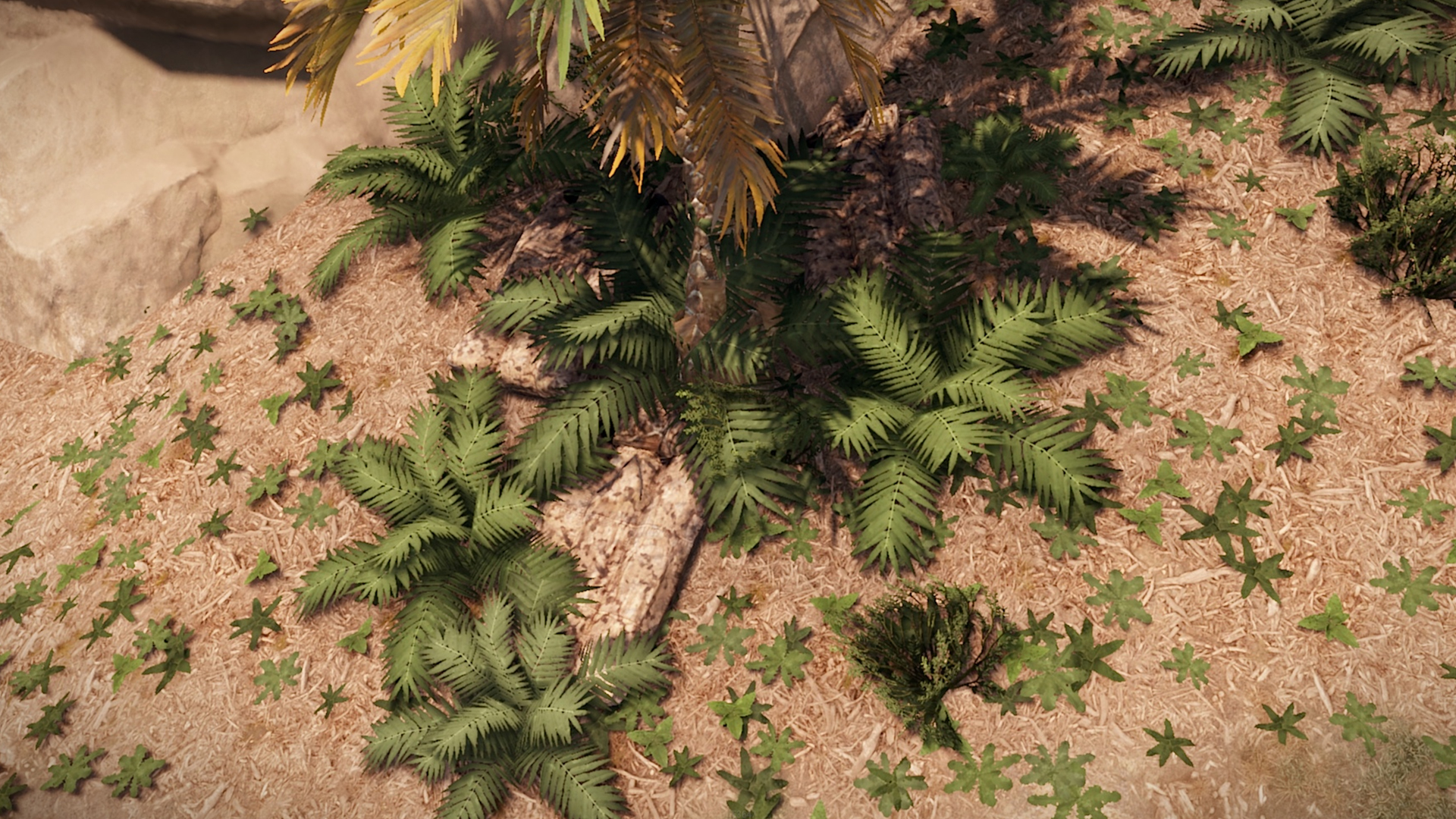 Desert Scout