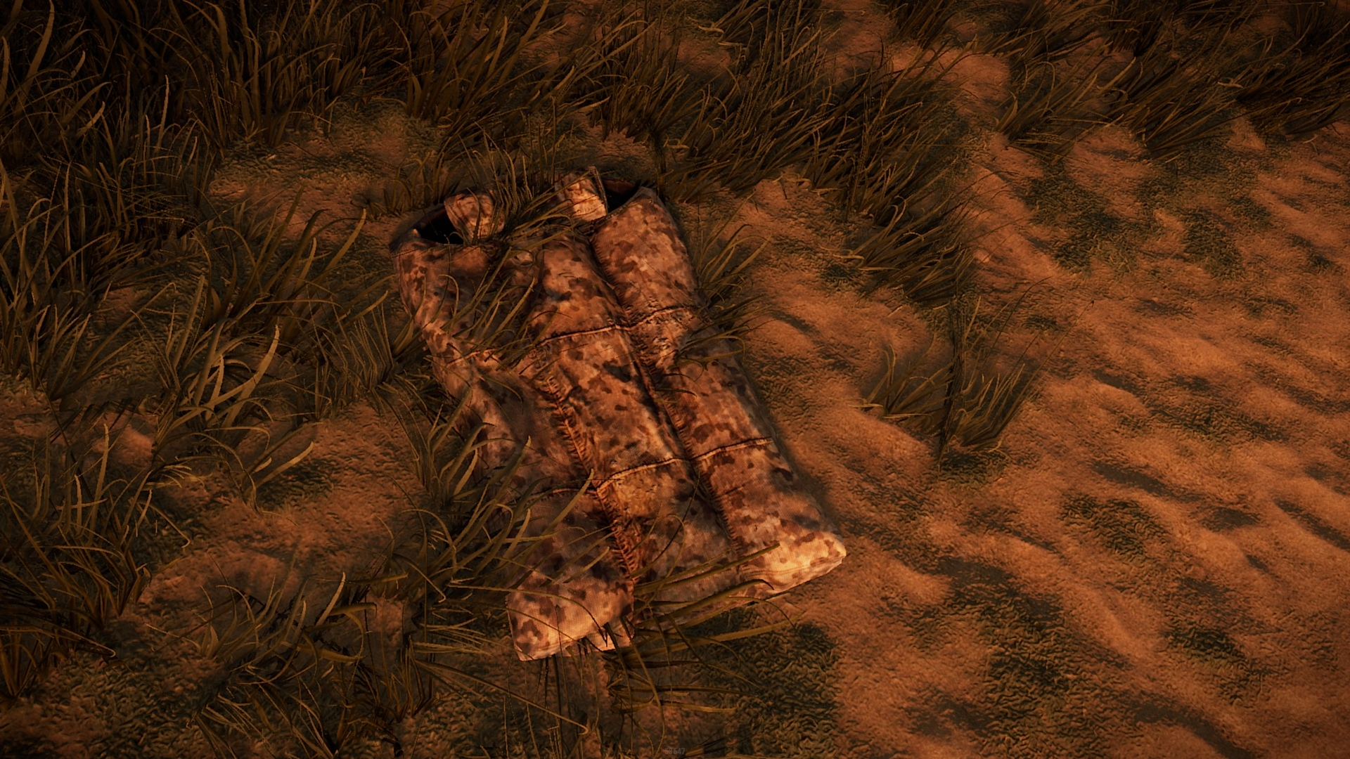 Desert Scout