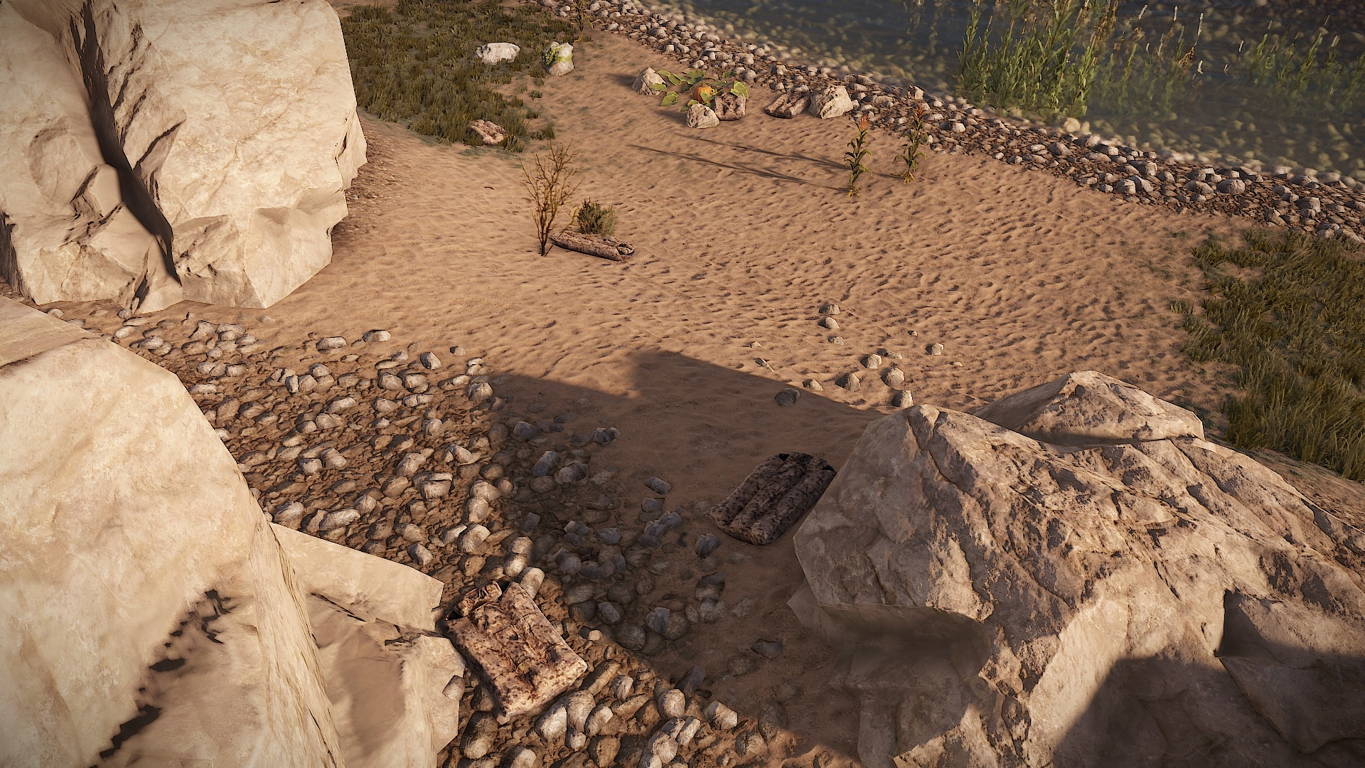 Desert Scout