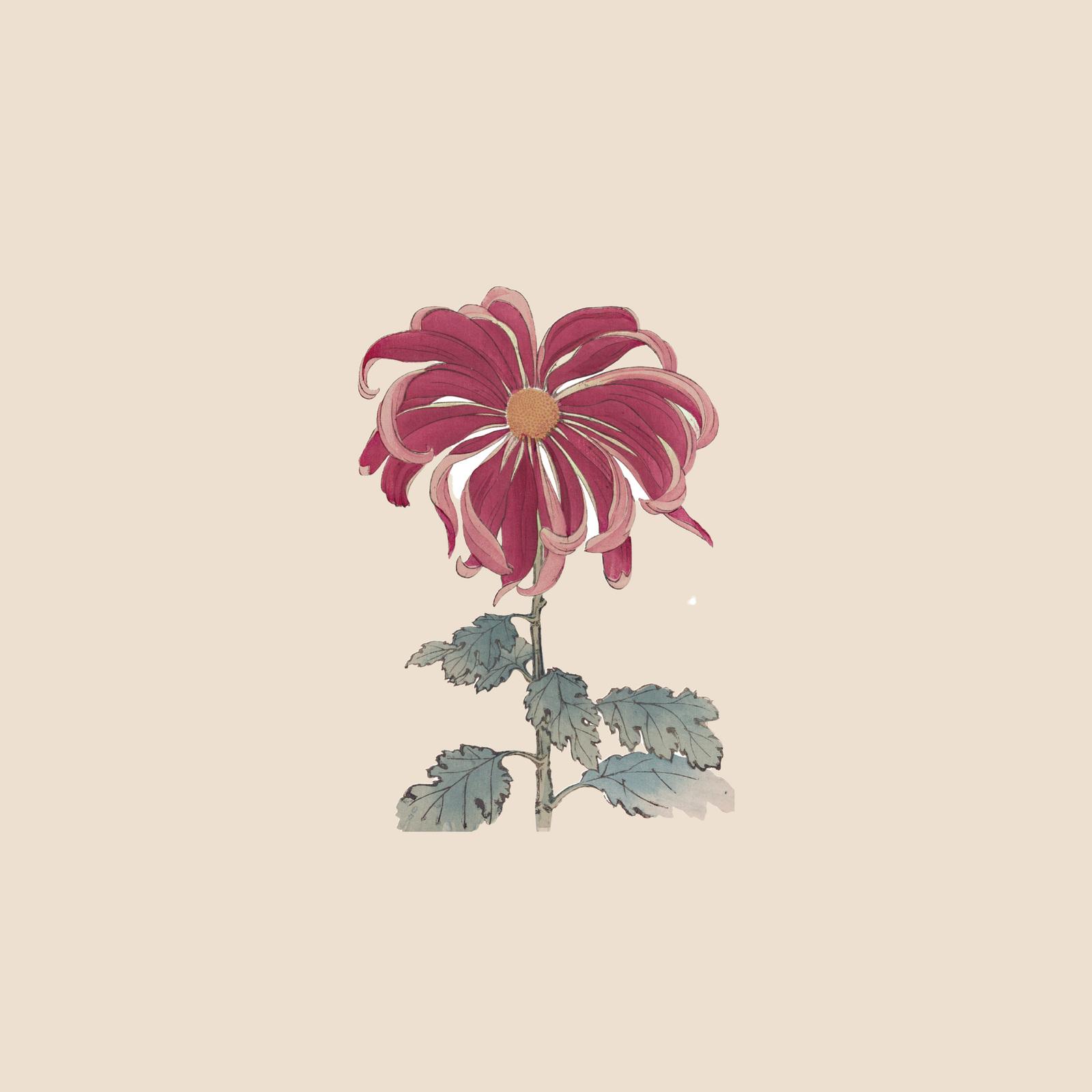 柿崎ユウタ (yuta kakizaki) - バカみたいに preview