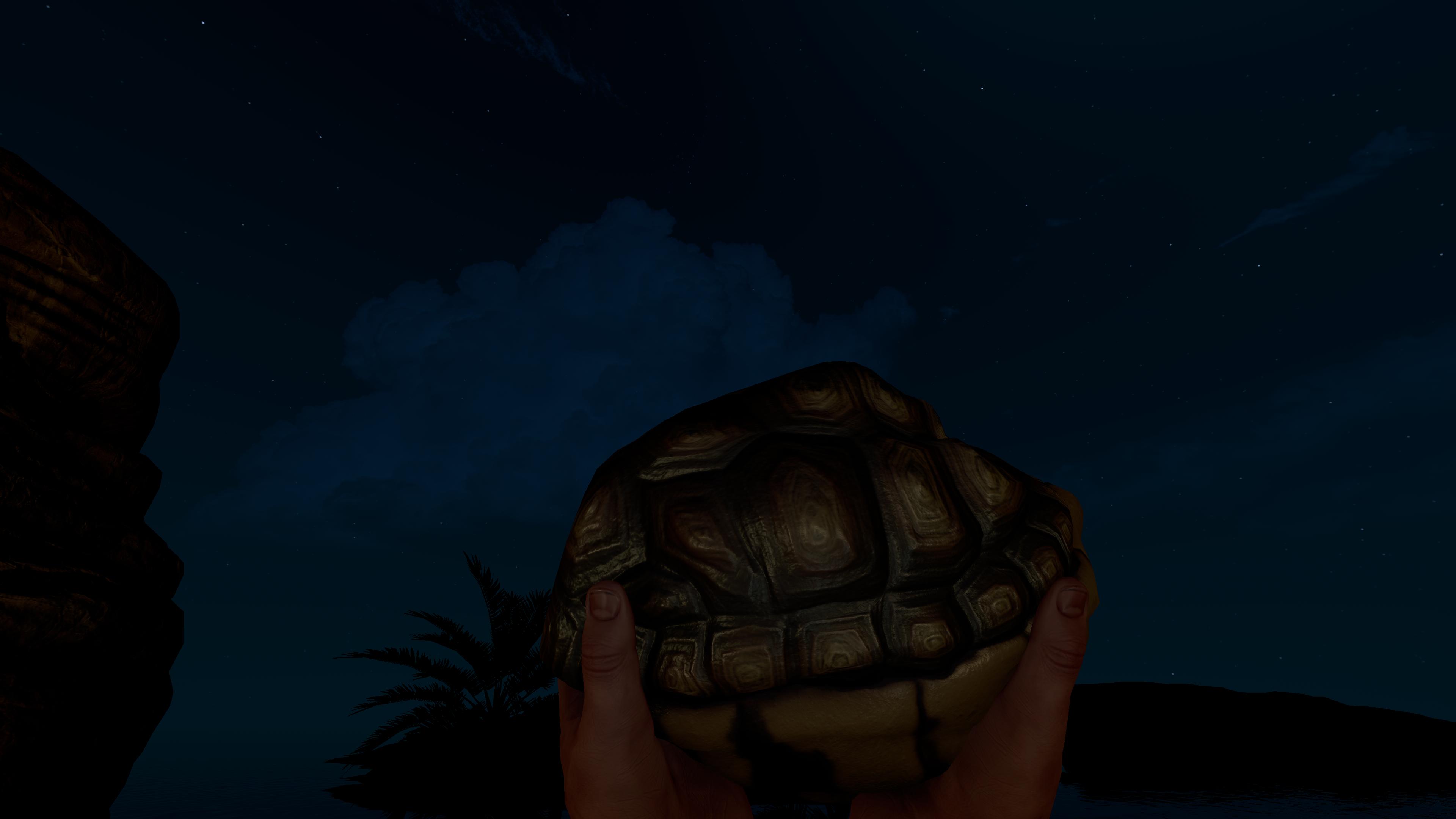 Tortoise Rock thumbnail 8
