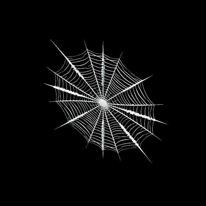 Wall Web 2