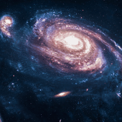 Cosmos
