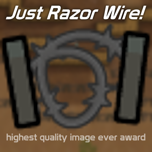 Just Razor Wire!