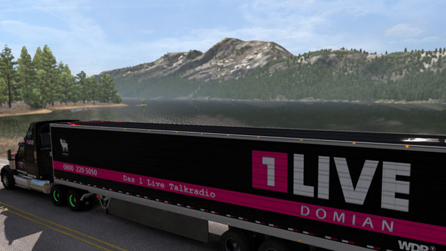 SCS Box Trailer - Domian Nachtlager Edition (suitable for all sizes)