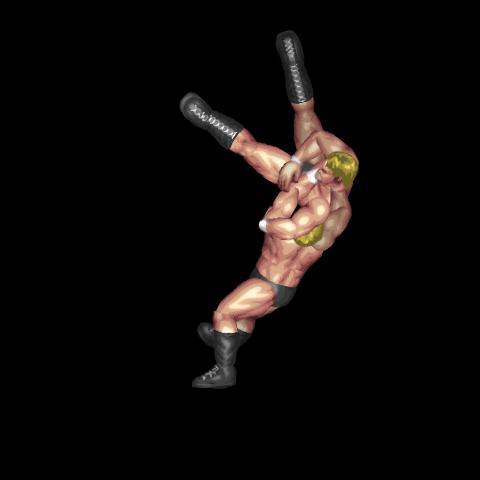 Riki Choshu style Backdrop(Back Grapple)