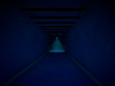 THE HOSPITAL