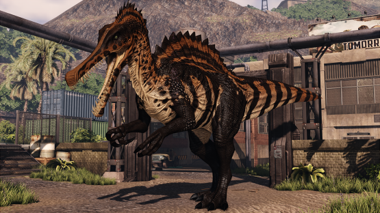 Ocra Spino