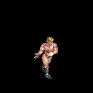 Nature Boy Strut / ネイチャーボーイストラット
