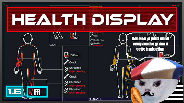Health Display FR