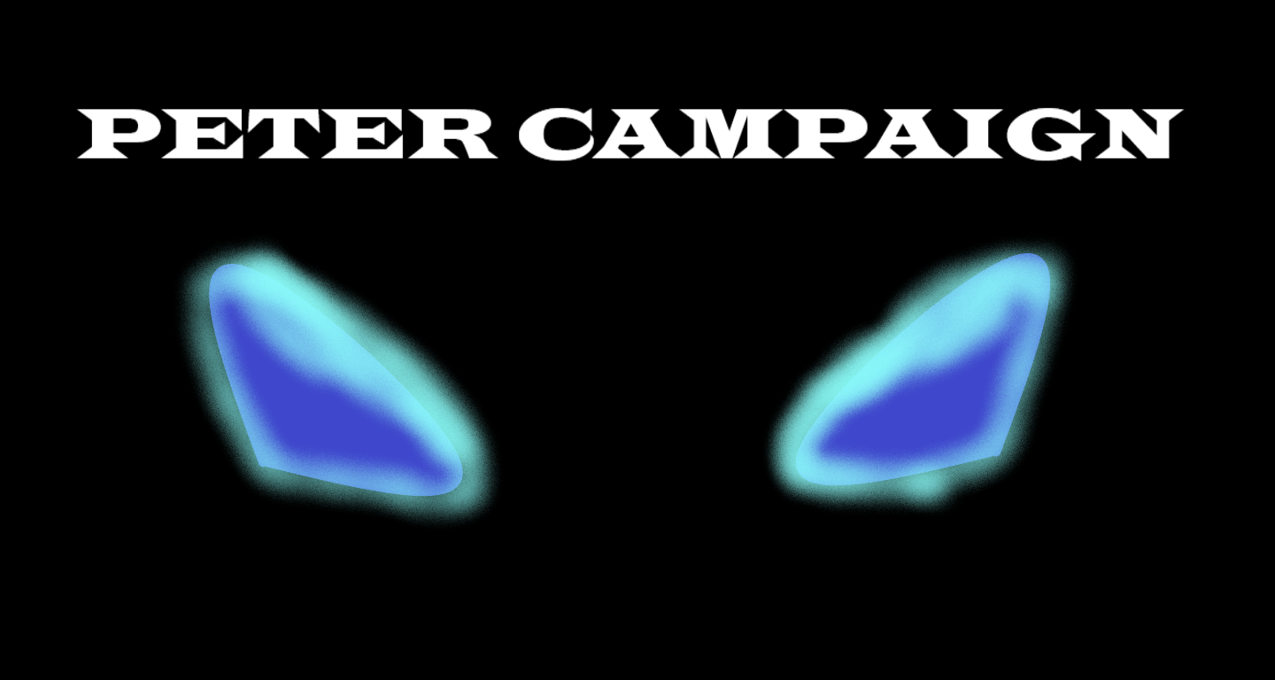 PETER Campaign (11 levels , easy - medium , jacket)