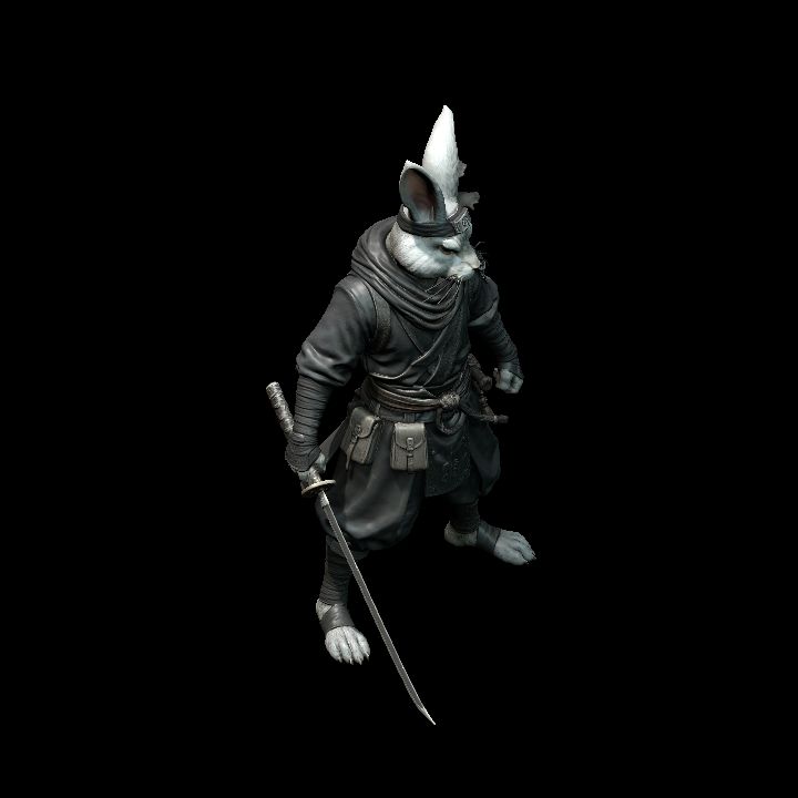 Rabbit Folk Ninja