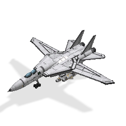 F-14 Grummam Tomcat b
