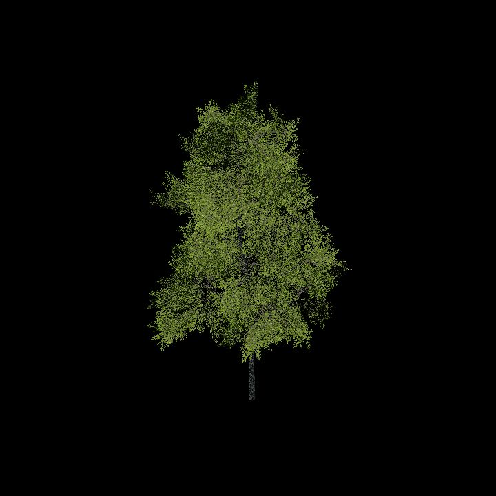 Nature, Tree 7