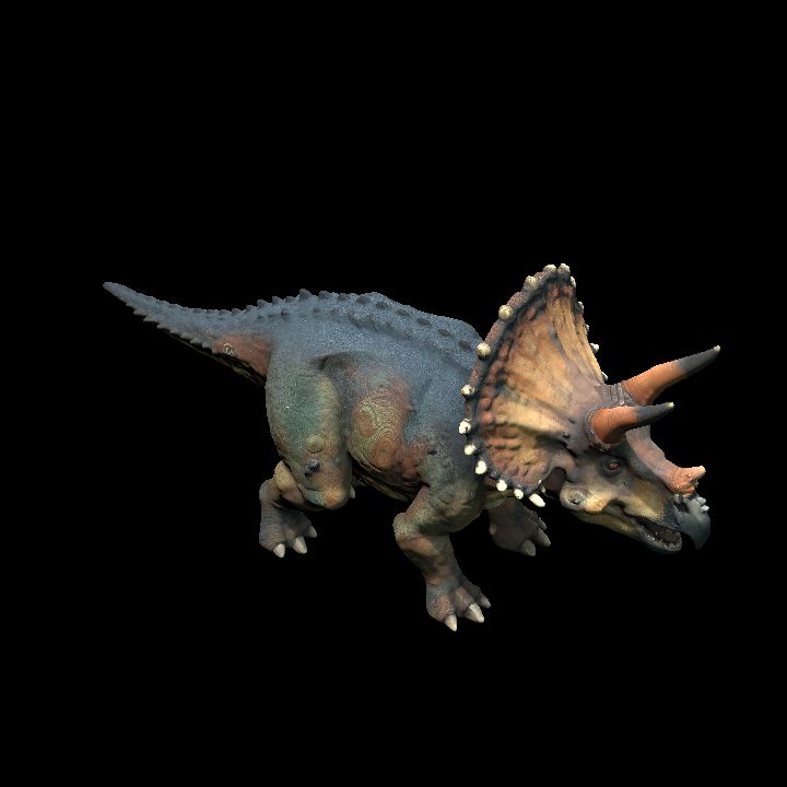 triceratops 1