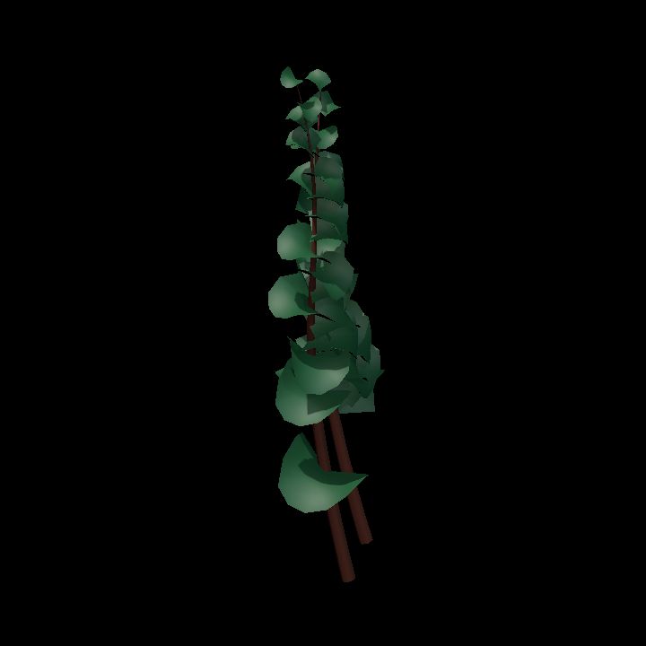 Fey_Plant (13)