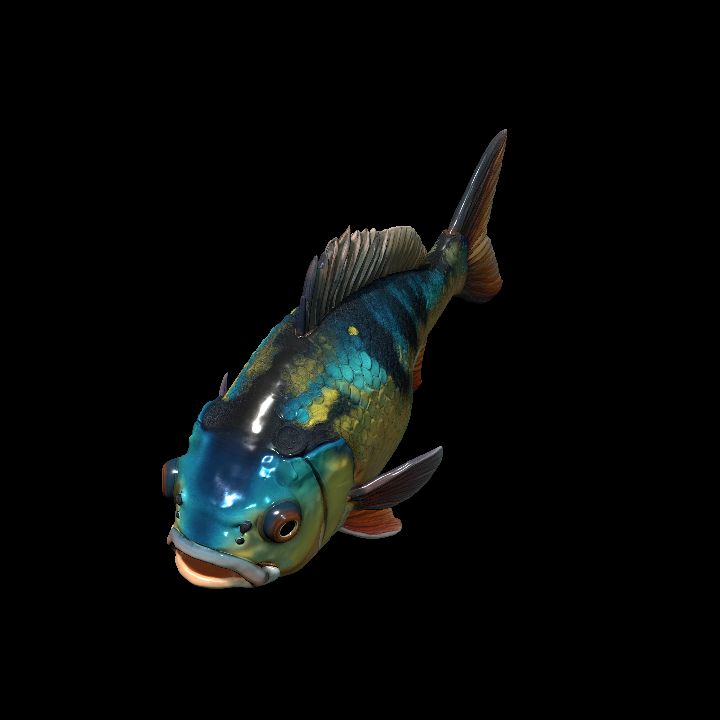 Fish 2
