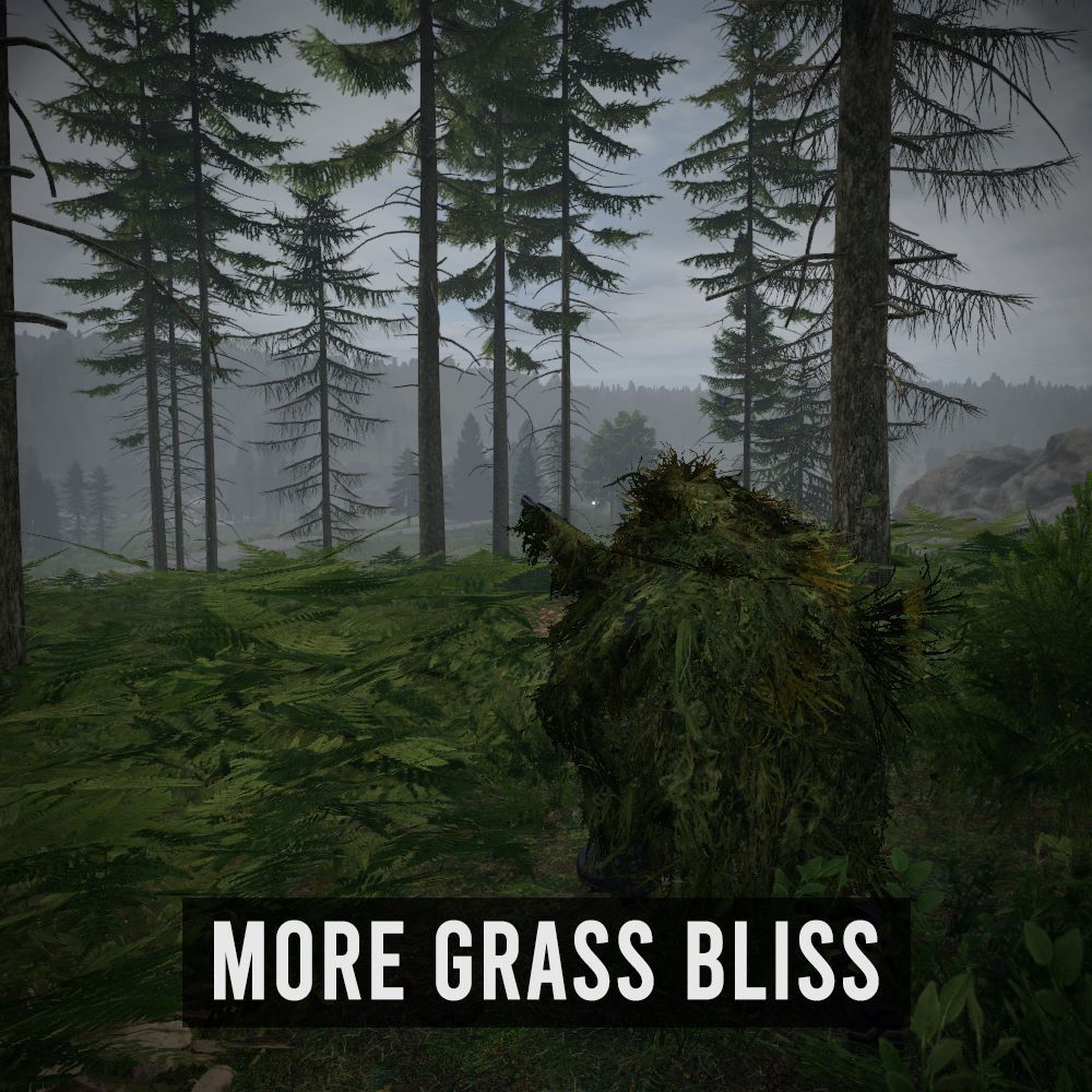 More-Grass-Bliss