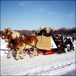 Sleigh Ride