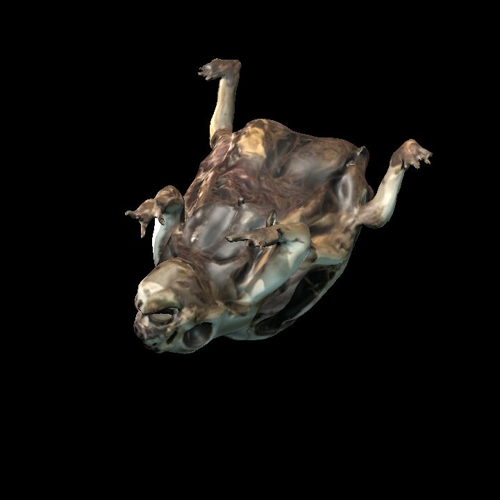 Rotting frog on back