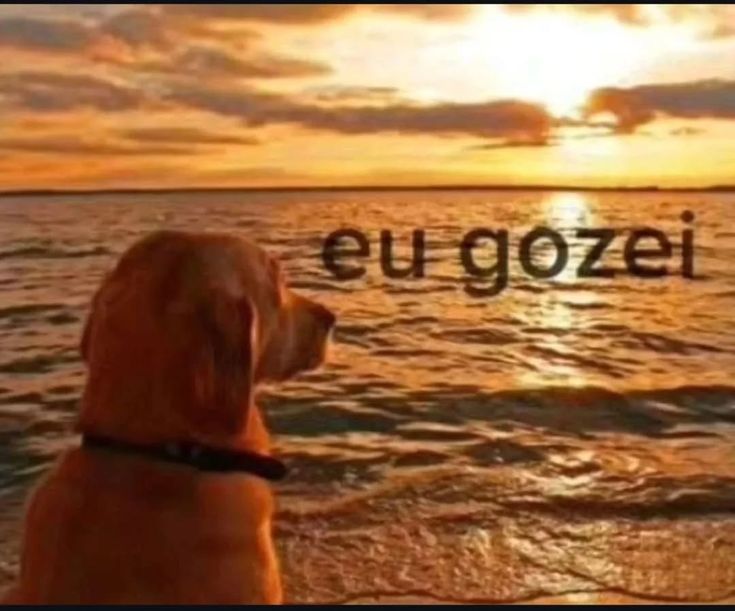 eu g0z3i