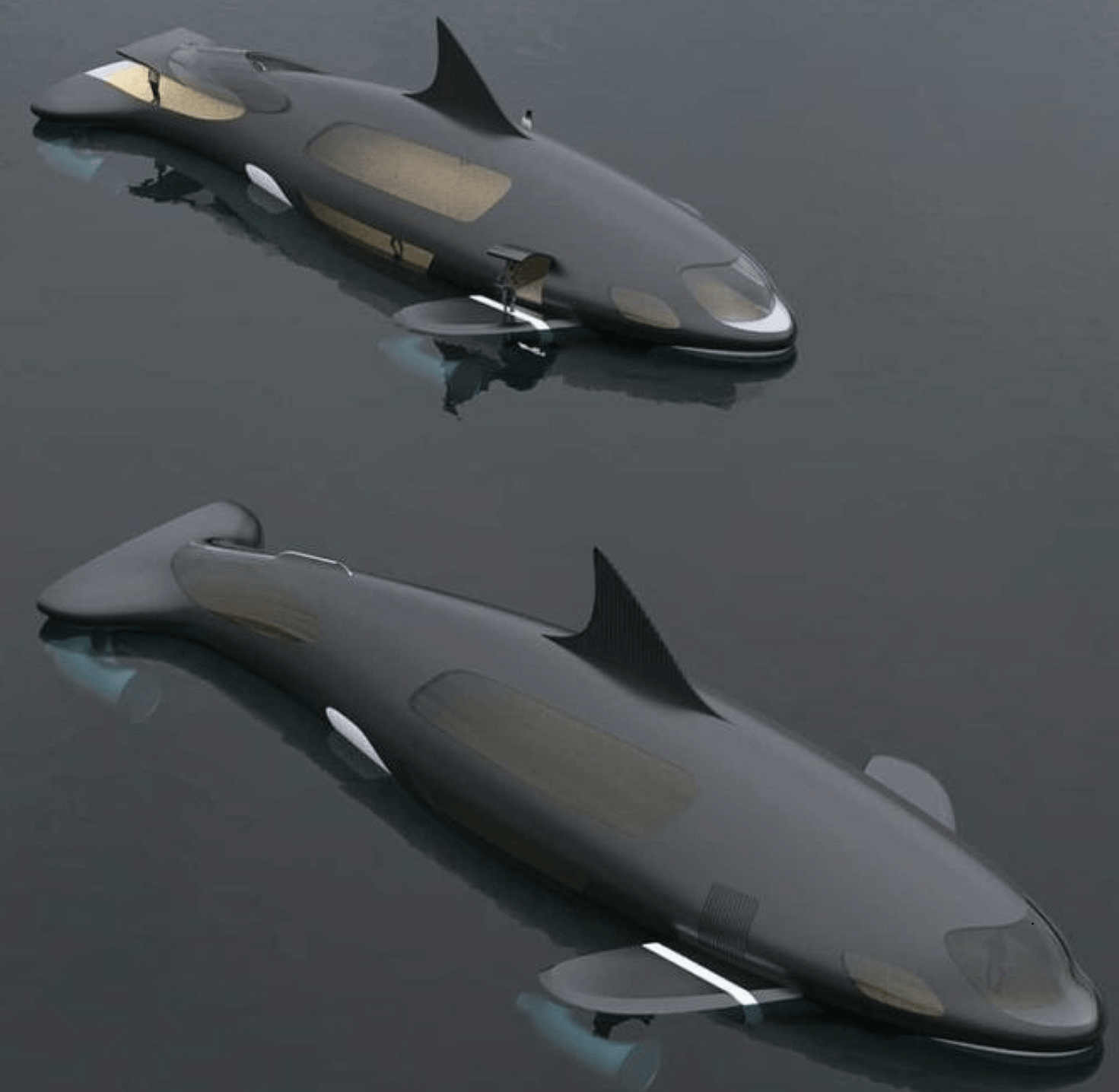 Dolphin ship cruise ride