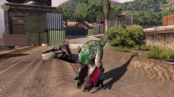 hummingbird Novaraptor