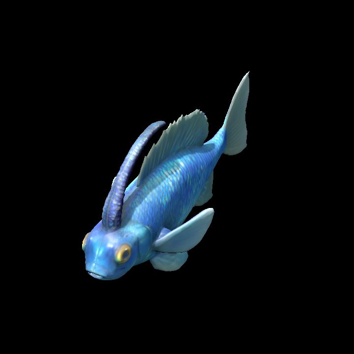 Caprifish