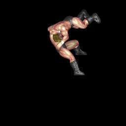 Superplex Into Falcon Arrow