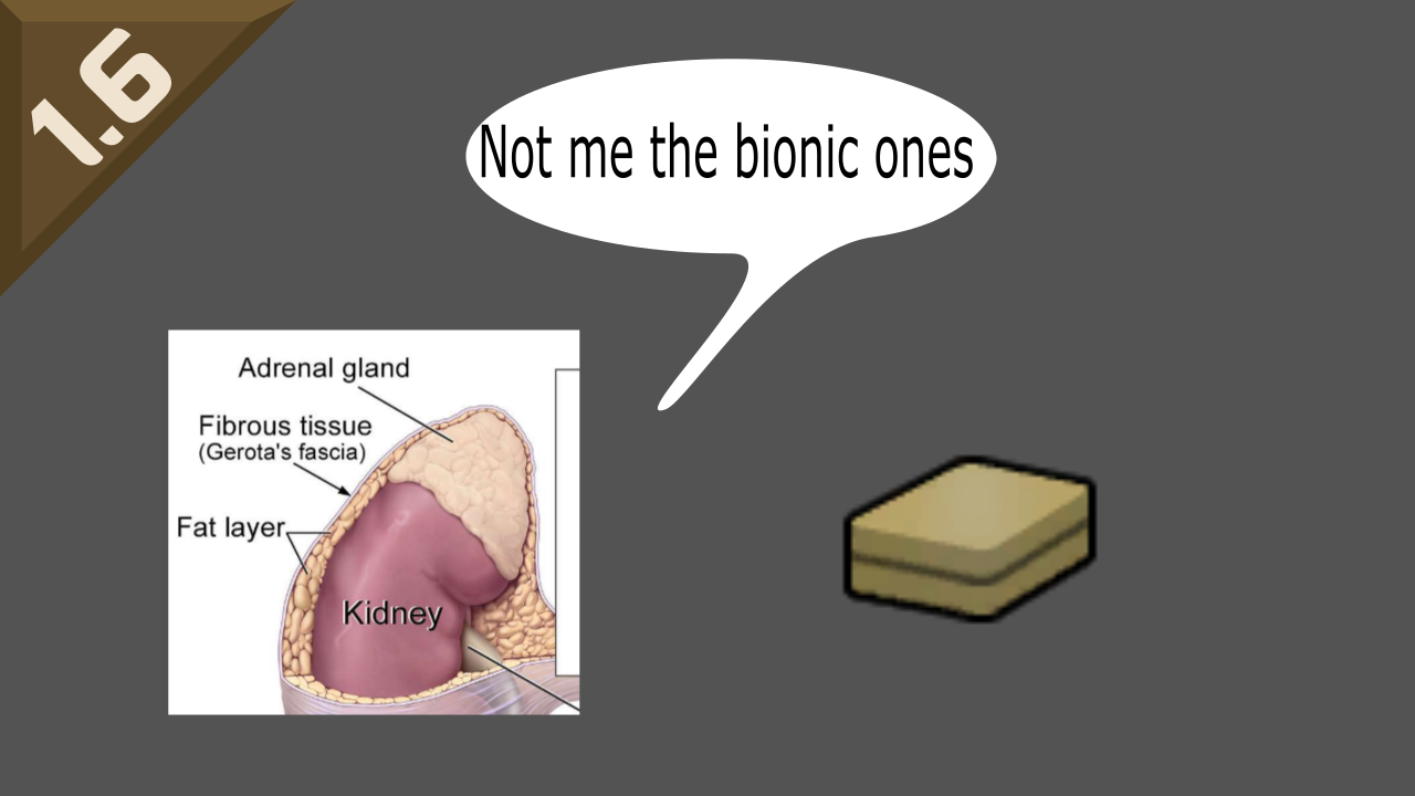 More Glands