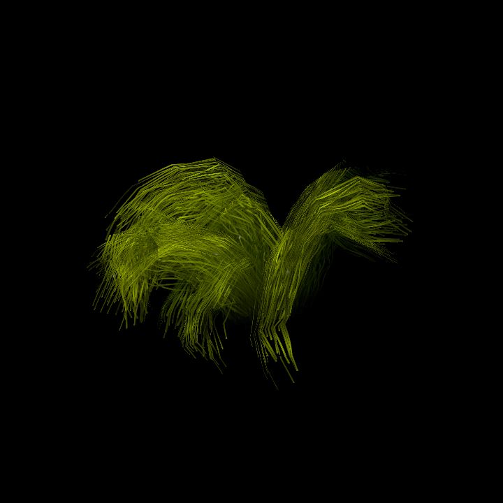 SwampTussocksSmallF_2