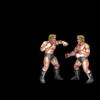Punch & Rolling Lariat Combo