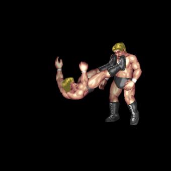 Front Dropkick