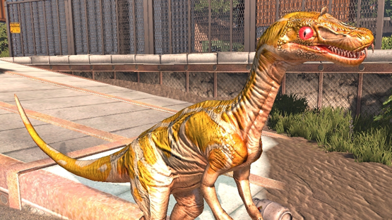 Albino Python Mutation and Skin
