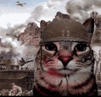 War Crimes Expanded