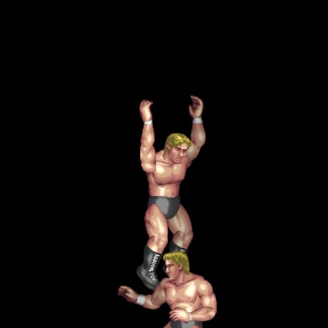 Springboard Superkick Reversal