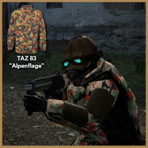 Simple TAZ 83 "Alpenflage" for Combine Soldiers