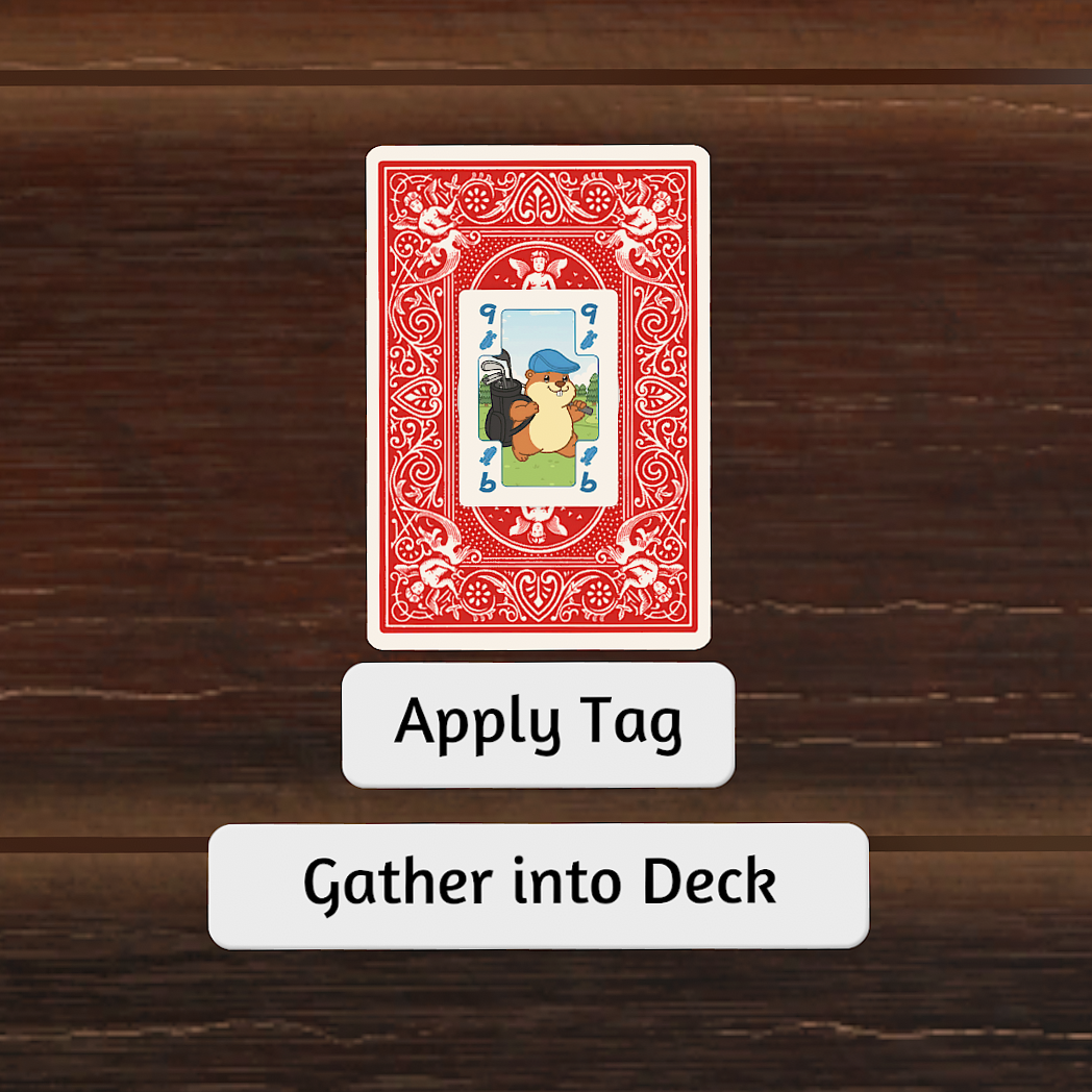 [Tool] Card Tagger and Deck Reassembler