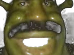 Shrek Face