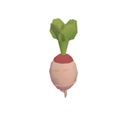 Turnip