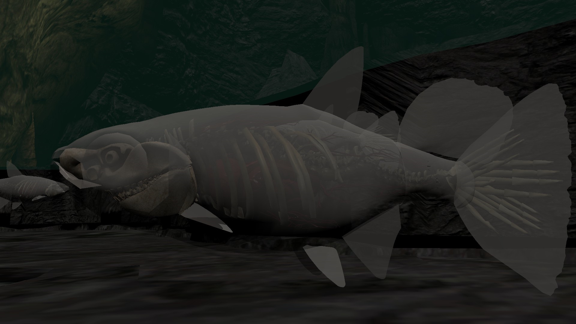 Model: Blind cave fish
